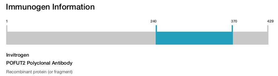 POFUT2 Polyclonal Antibody
