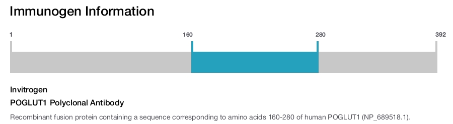 POGLUT1 Polyclonal Antibody