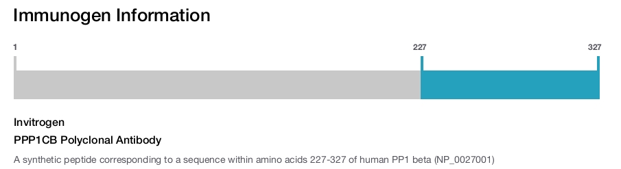 PPP1CB Polyclonal Antibody