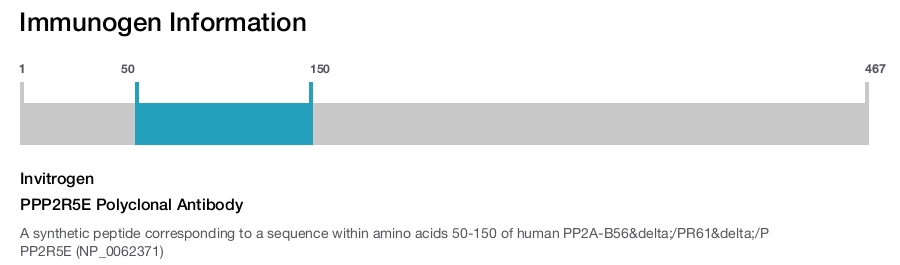 PPP2R5E Polyclonal Antibody