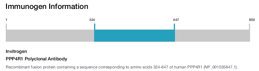 PPP4R1 Polyclonal Antibody