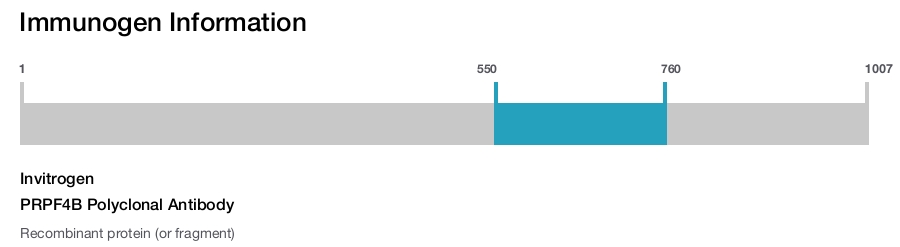 PRPF4B Polyclonal Antibody