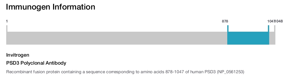 PSD3 Polyclonal Antibody