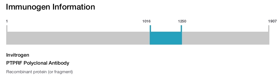 PTPRF Polyclonal Antibody