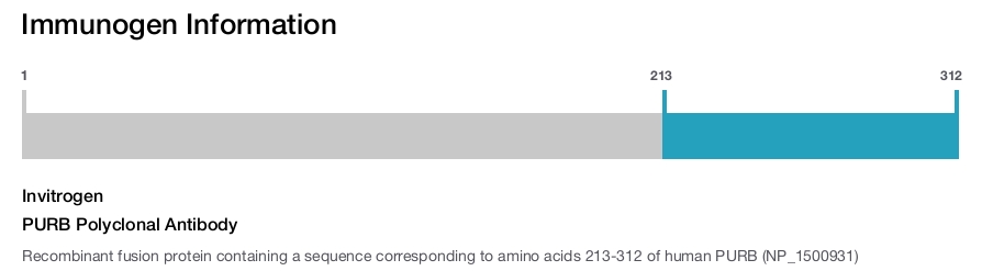 PURB Polyclonal Antibody