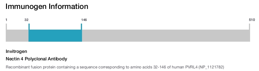Nectin 4 Polyclonal Antibody