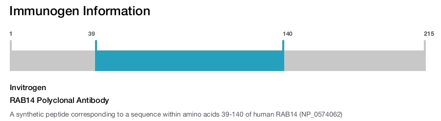 RAB14 Polyclonal Antibody