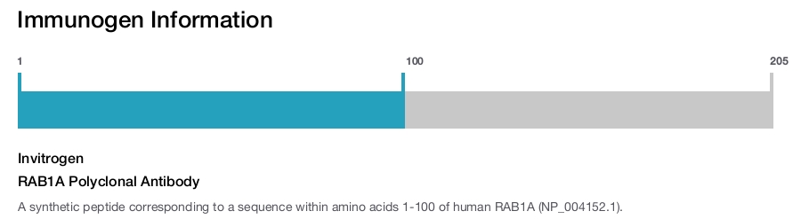 RAB1A Polyclonal Antibody