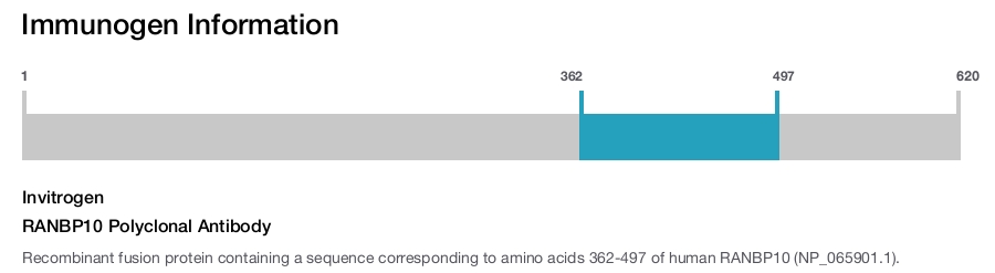 RANBP10 Polyclonal Antibody