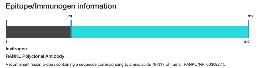 RANKL Polyclonal Antibody