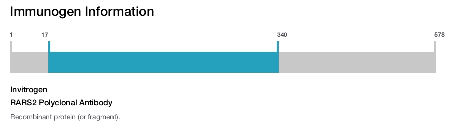 RARS2 Polyclonal Antibody