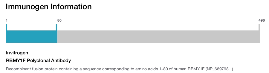 RBMY1F Polyclonal Antibody