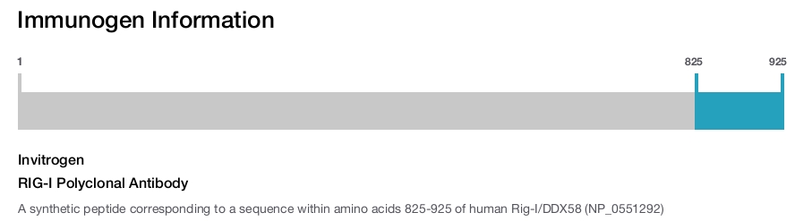RIG-I Polyclonal Antibody