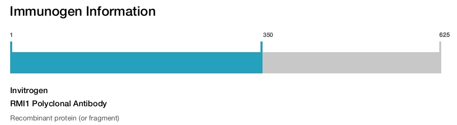 RMI1 Polyclonal Antibody