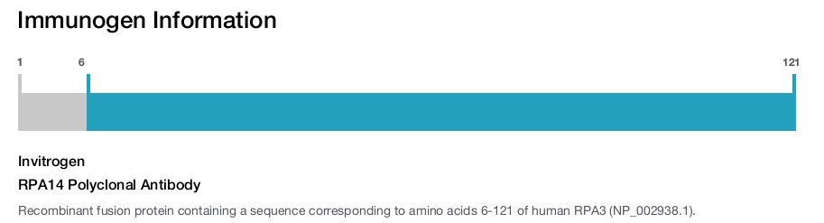 RPA14 Polyclonal Antibody