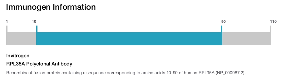 RPL35A Polyclonal Antibody