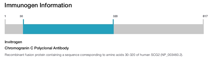 Chromogranin C Polyclonal Antibody