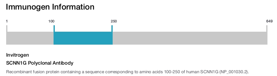 SCNN1G Polyclonal Antibody