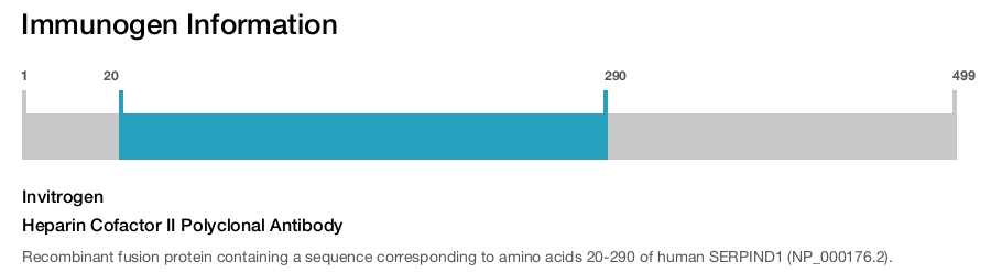 Heparin Cofactor II Polyclonal Antibody