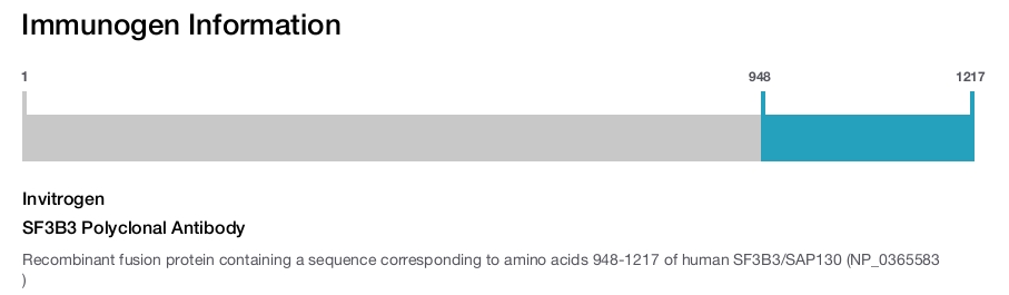 SF3B3 Polyclonal Antibody