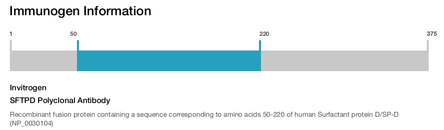 SFTPD Polyclonal Antibody