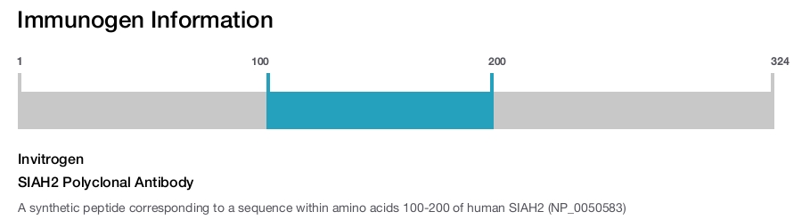 SIAH2 Polyclonal Antibody