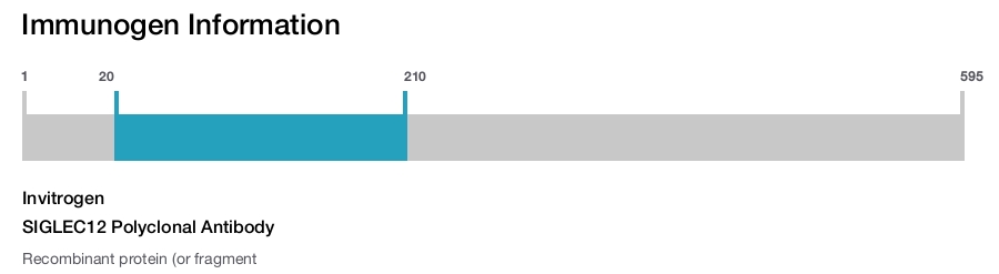 SIGLEC12 Polyclonal Antibody