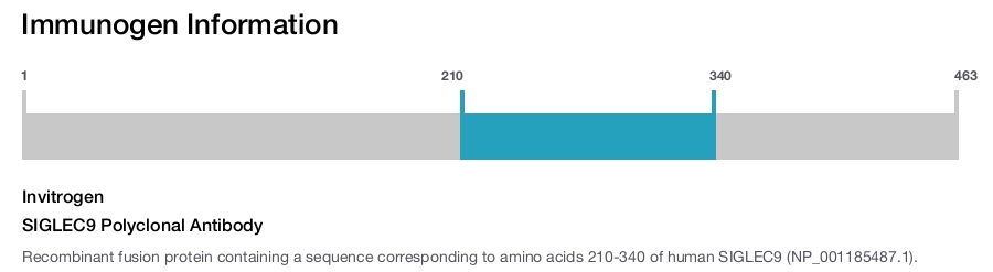 SIGLEC9 Polyclonal Antibody