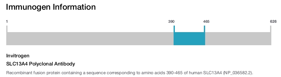 SLC13A4 Polyclonal Antibody