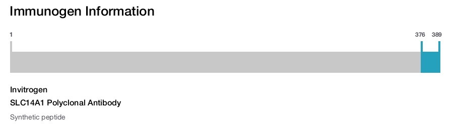 SLC14A1 Polyclonal Antibody