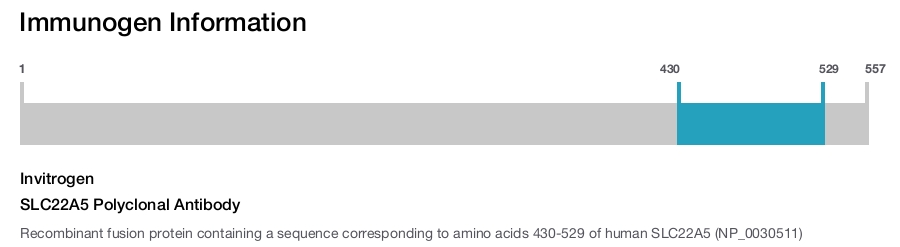 SLC22A5 Polyclonal Antibody