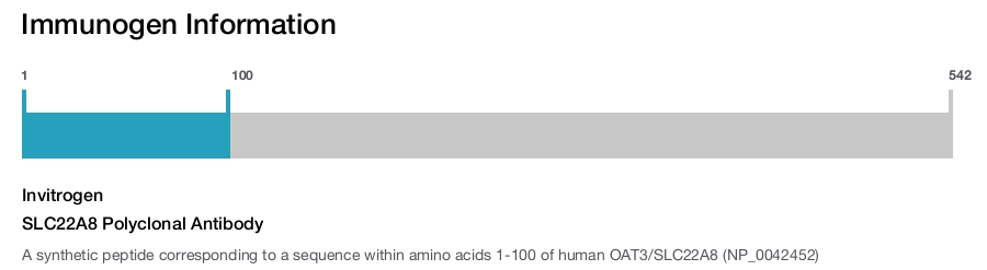 SLC22A8 Polyclonal Antibody