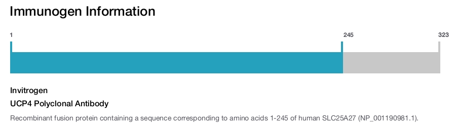 UCP4 Polyclonal Antibody