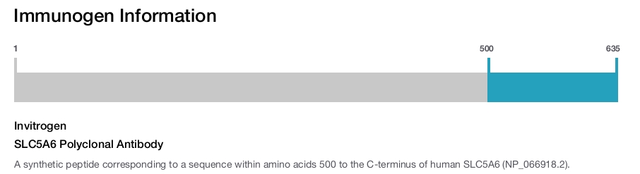 SLC5A6 Polyclonal Antibody