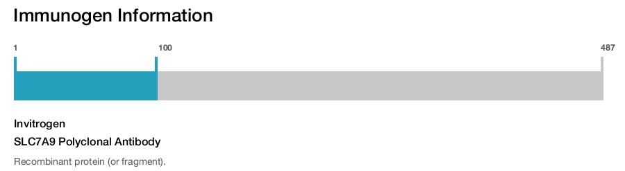 SLC7A9 Polyclonal Antibody