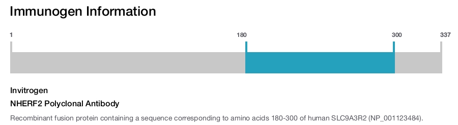 NHERF2 Polyclonal Antibody