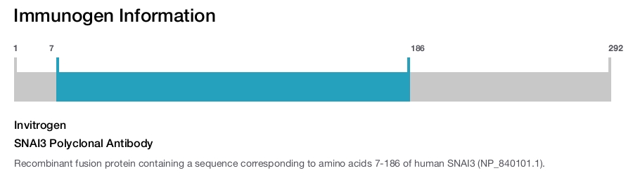 SNAI3 Polyclonal Antibody