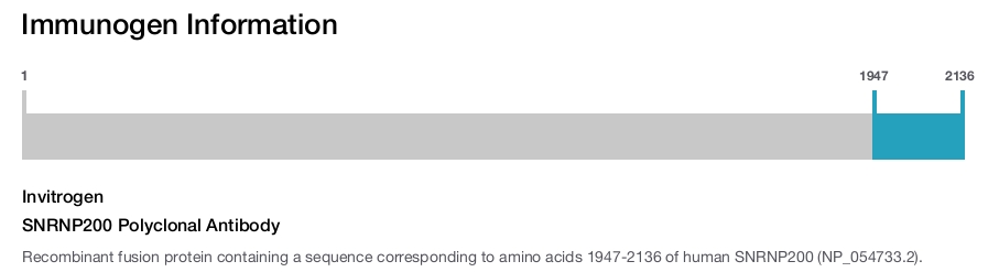 SNRNP200 Polyclonal Antibody