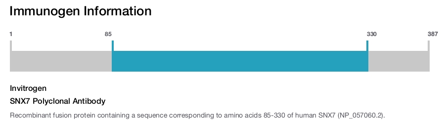 SNX7 Polyclonal Antibody