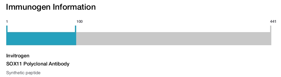 SOX11 Polyclonal Antibody