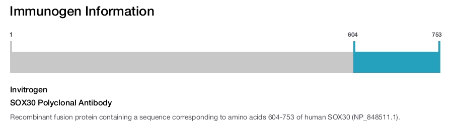 SOX30 Polyclonal Antibody