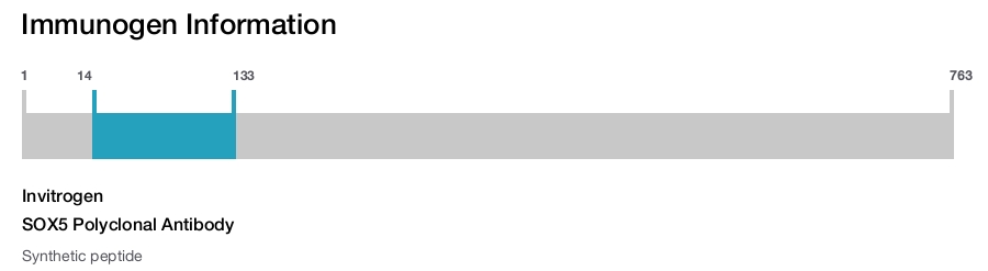 SOX5 Polyclonal Antibody