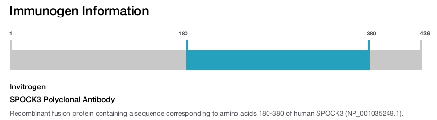 SPOCK3 Polyclonal Antibody