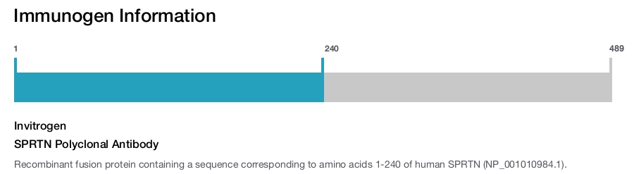 SPRTN Polyclonal Antibody