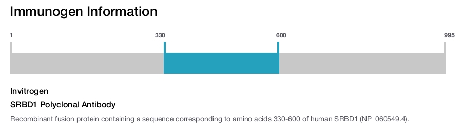 SRBD1 Polyclonal Antibody
