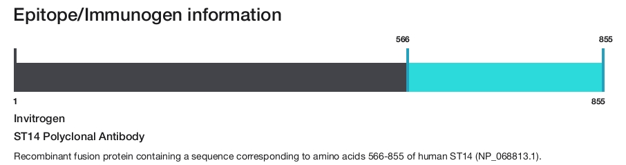 ST14 Polyclonal Antibody