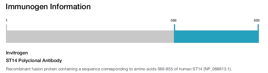 ST14 Polyclonal Antibody