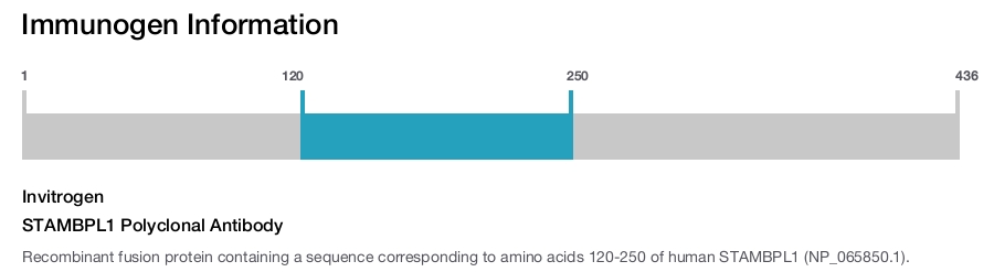 STAMBPL1 Polyclonal Antibody