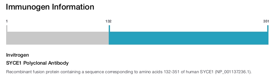 SYCE1 Polyclonal Antibody