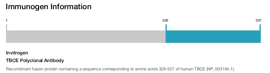 TBCE Polyclonal Antibody
